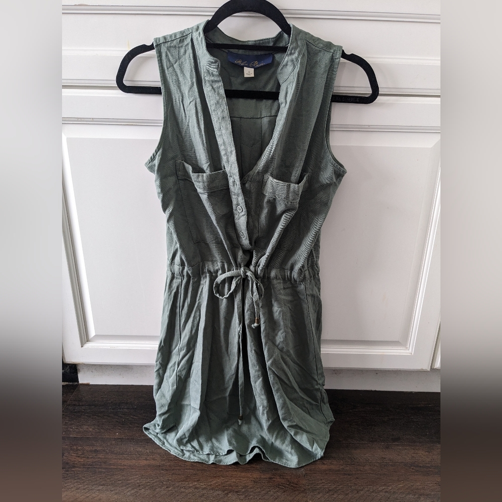 Francesca's Blue Rain minidress earth green small button top part
